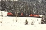 Grain train rolls west
